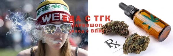 дмт Алексин