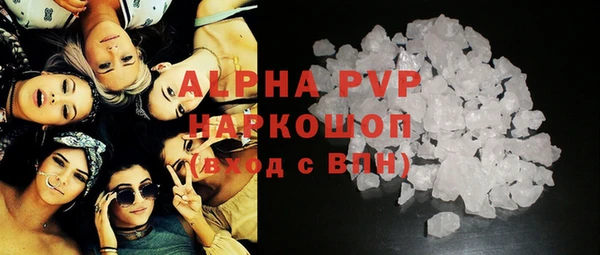 стаф Алзамай