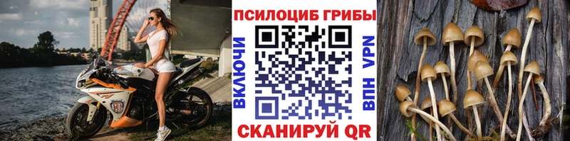 Галлюциногенные грибы GOLDEN TEACHER Катайск