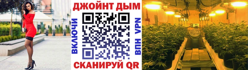 сколько стоит  Катайск  OMG как зайти  Марихуана SATIVA & INDICA 